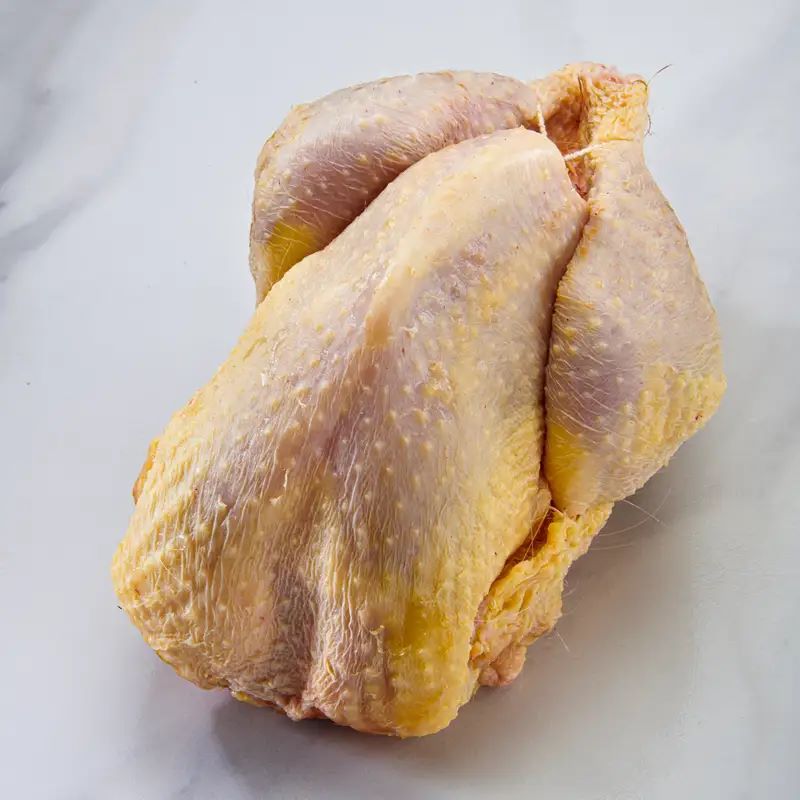 GALLINA ROSSA